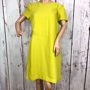 Banana Republic Citrine Short Sleeve Tunic Dress-8